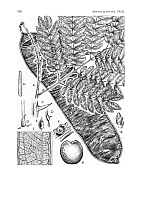  no thumbnail available