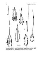  no thumbnail available