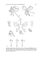  no thumbnail available