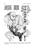  no thumbnail available