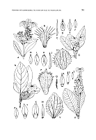  no thumbnail available