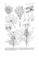  no thumbnail available