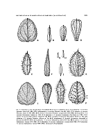  no thumbnail available