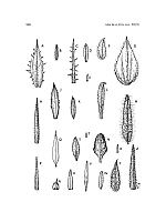  no thumbnail available