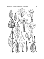  no thumbnail available