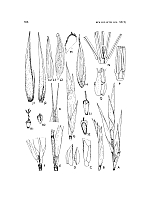  no thumbnail available