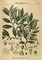  no thumbnail available