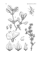  no thumbnail available