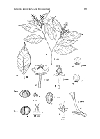  no thumbnail available