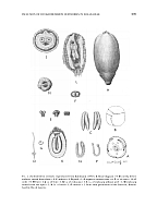  no thumbnail available