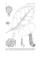  no thumbnail available