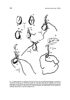  no thumbnail available