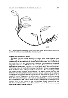  no thumbnail available