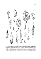  no thumbnail available