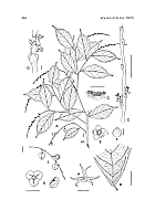  no thumbnail available