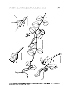  no thumbnail available