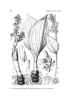  no thumbnail available