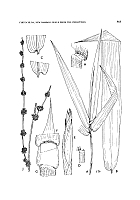  no thumbnail available