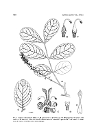  no thumbnail available