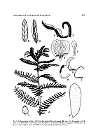  no thumbnail available