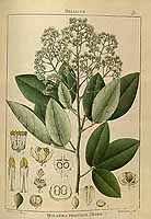  no thumbnail available