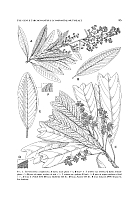  no thumbnail available