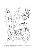  no thumbnail available