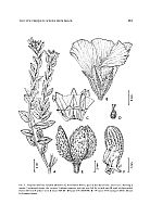  no thumbnail available