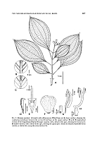  no thumbnail available