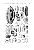  no thumbnail available