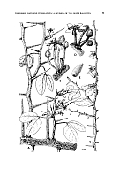  no thumbnail available