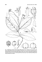  no thumbnail available