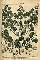  no thumbnail available