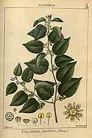  no thumbnail available