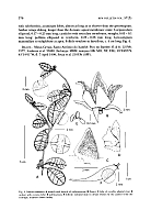  no thumbnail available