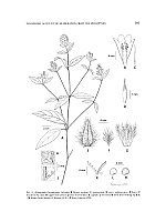  no thumbnail available