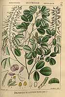  no thumbnail available