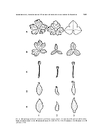  no thumbnail available