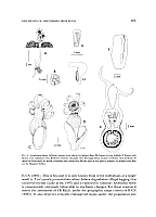  no thumbnail available