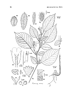  no thumbnail available