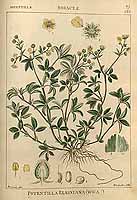  no thumbnail available