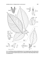  no thumbnail available