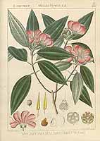  no thumbnail available