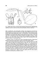  no thumbnail available