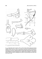  no thumbnail available