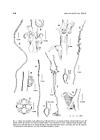  no thumbnail available