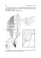  no thumbnail available