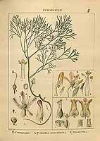  no thumbnail available