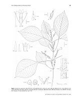  no thumbnail available