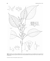  no thumbnail available